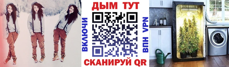 Конопля сатива  mega ссылка  Кола  наркошоп 